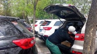 318吃瓜娱乐车友会,畅游车界，共享欢乐时光